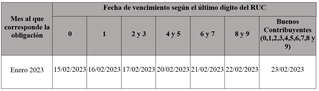 Atraso de Libros Electrónicos Anuales 2023 2024, ✓ Revista Contable Perú  2023